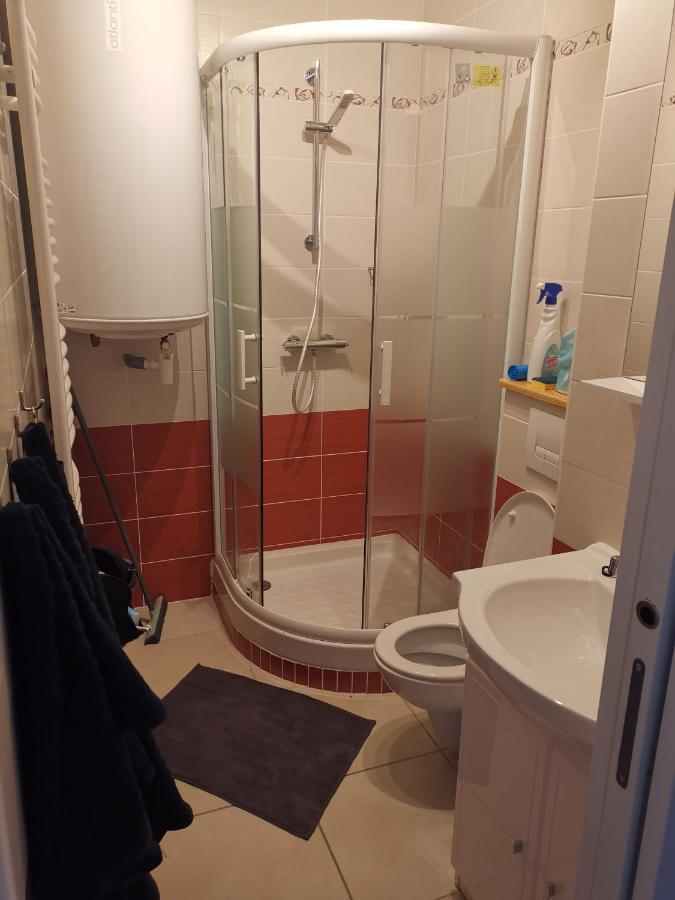 Appartement Au Pied Des Pistes サン・ラリー・スラン エクステリア 写真